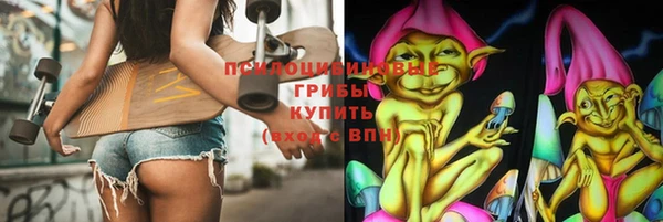 стаф Алексеевка