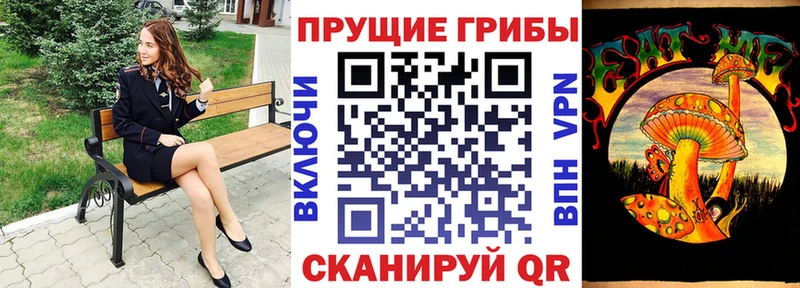 купить закладку  Тверь  Галлюциногенные грибы MAGIC MUSHROOMS 