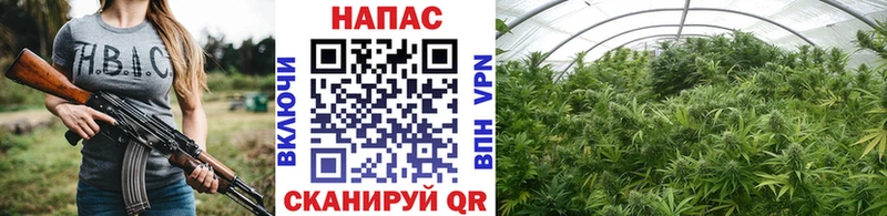 МАРИХУАНА SATIVA & INDICA  Тверь 